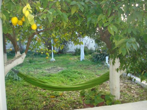 Artistic House In Limni Evias
