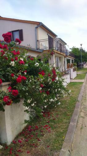 Apartmani Medica