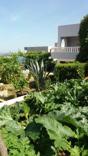 Apartman Jole