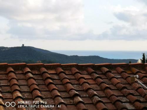 Il Nespolo