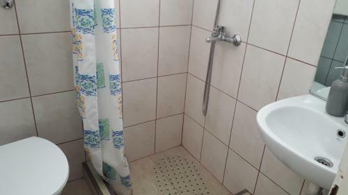 Apartamento Pensiunea Shalom