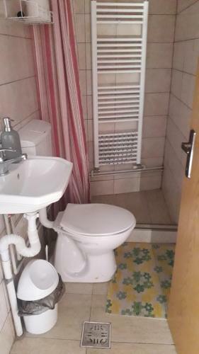 Apartamento Pensiunea Shalom