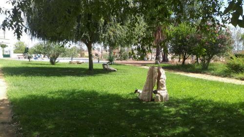Agroturismo Palacete Dos Alcaides