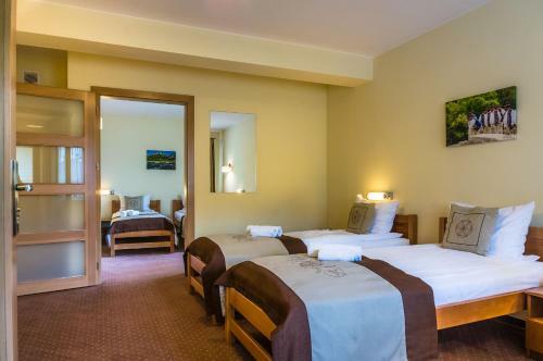 Hotel Pod Wulkanem
