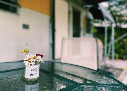 Ags Trailer House Silver Streak