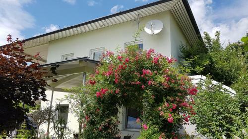 Apartamento Ferienwohnung Albel