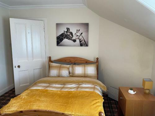 Super Spacious, 10 Mins From Beach, Pet Friendly