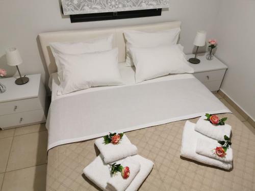 Pall's Minimal Apartment