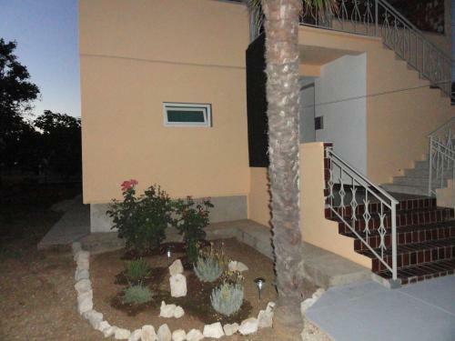 Hostal Holiday House Marija