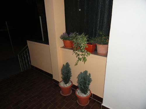 Hostal Holiday House Marija