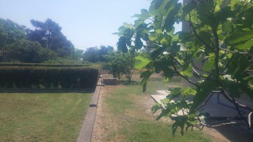 Hostal Holiday House Marija
