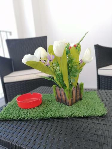 Apartamento Summer In Sud