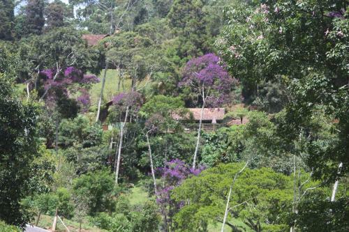 Posada Pousada Ecol�gica Itoror�