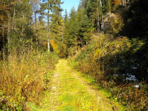 Apartamento G�stezimmer Weiss