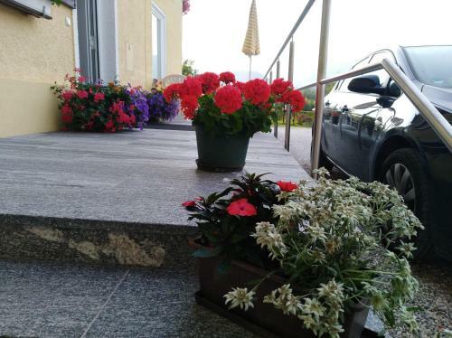 Hostal Haus Amalia