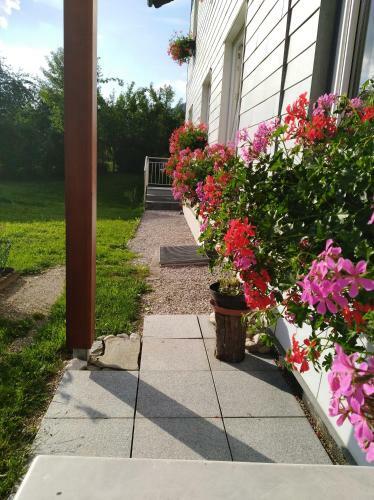 Hostal Haus Amalia