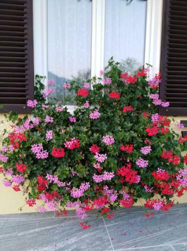 Hostal Haus Amalia