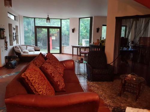 The Billiard Apartment With Beautiful Garden