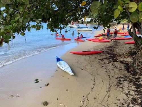 Apartamento Beau Studio Pr�s De La Baie