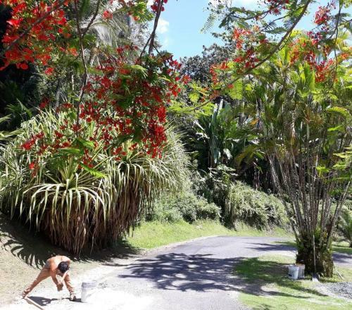 Apartamento Art Retreat/studio/adventures