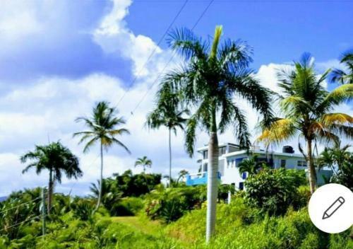 Apartamento Art Retreat/studio/adventures