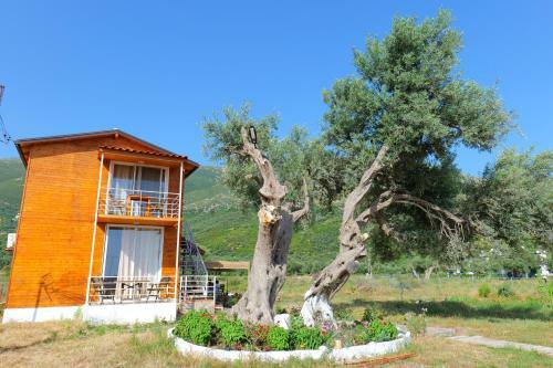 Apartamento Vila Ari