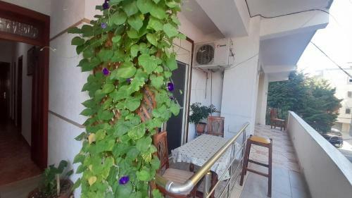 Agroturismo Kacani Rooms