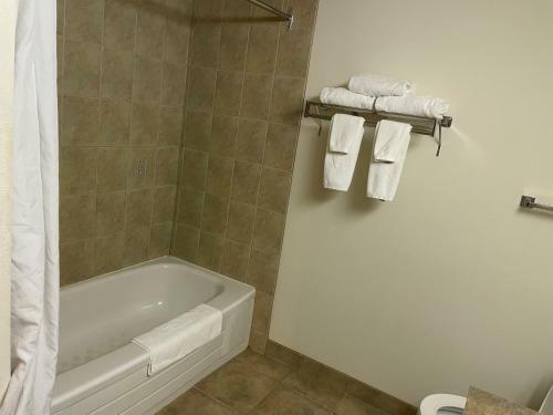 Hotel Lakeview Inn And Suites