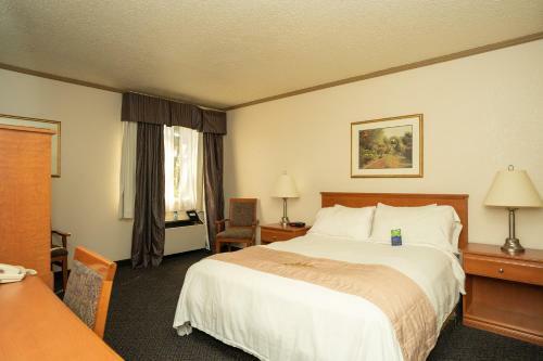 Hotel Lakeview Inn And Suites