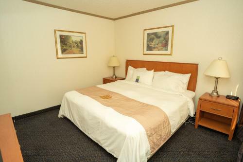 Hotel Lakeview Inn And Suites