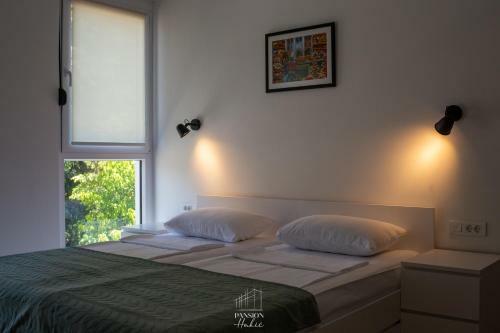 Hotel Pansion Huki?