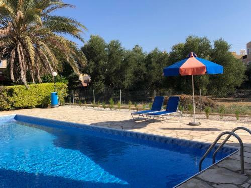 Charming Apartment In Paphos Central Location