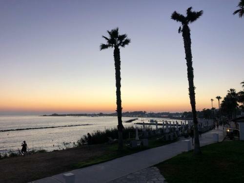 Charming Apartment In Paphos Central Location