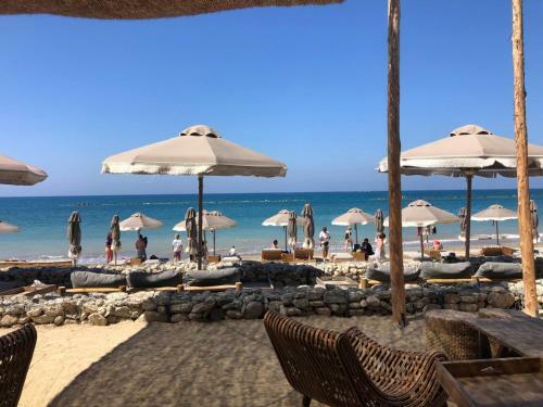 Charming Apartment In Paphos Central Location