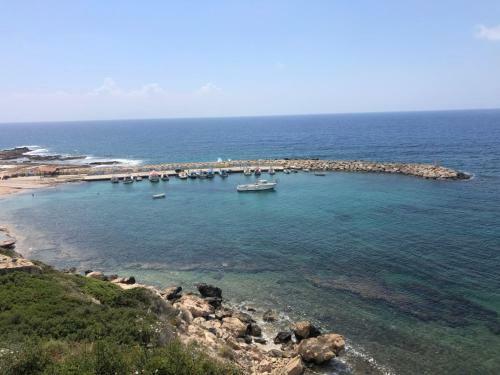 Charming Apartment In Paphos Central Location