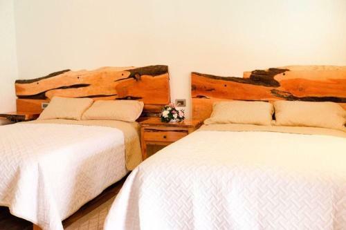Bed & Breakfast Plaza Lodge