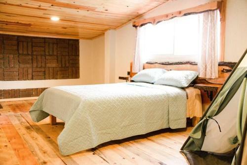 Bed & Breakfast Plaza Lodge