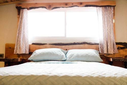 Bed & Breakfast Plaza Lodge