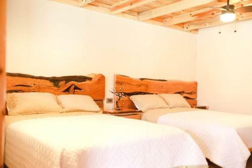 Bed & Breakfast Plaza Lodge