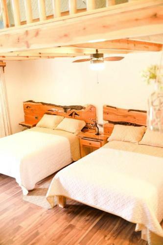 Bed & Breakfast Plaza Lodge