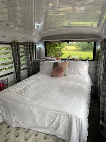 Double Decker Bus