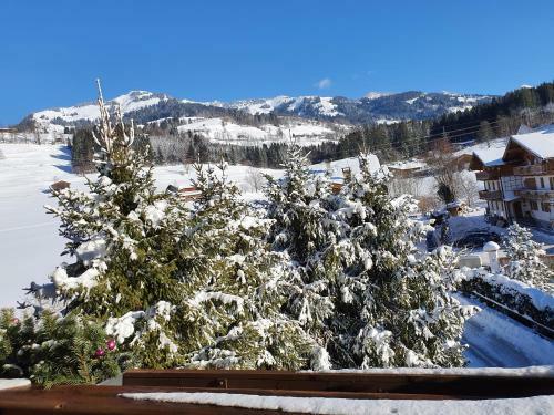 Hotel Kitz Garni Boutique Hotel
