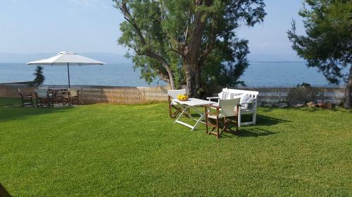 Seafront Villa Aggeliki