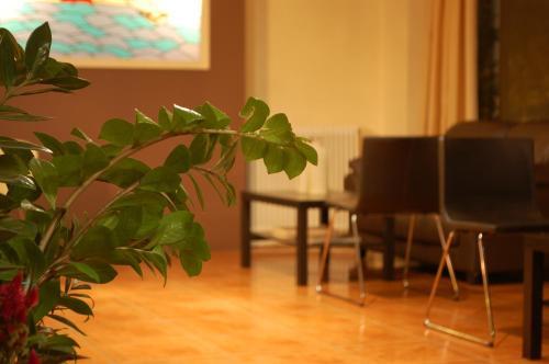 Platon Hotel