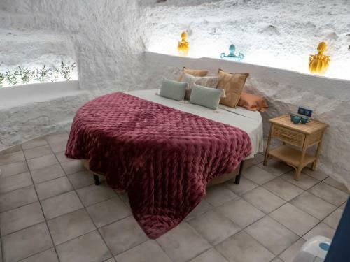 Casa Carmen Alcal� Del J�car