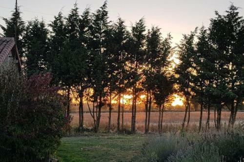 Bed & Breakfast Le Magnoux Peaceful Retreat