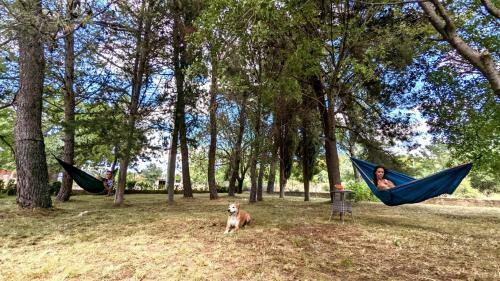 Holiday Home Jaga