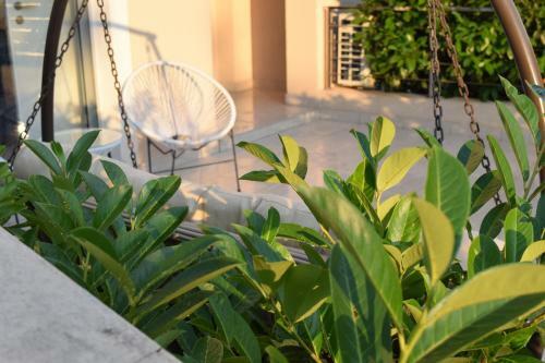Apartamento Garden View