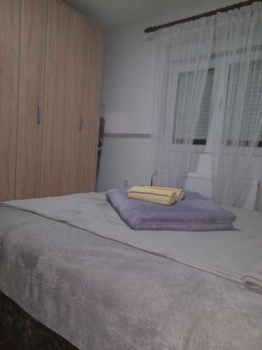Apartman Rakocevic
