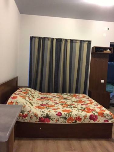 Hostal Dami's Cottages Borjomi